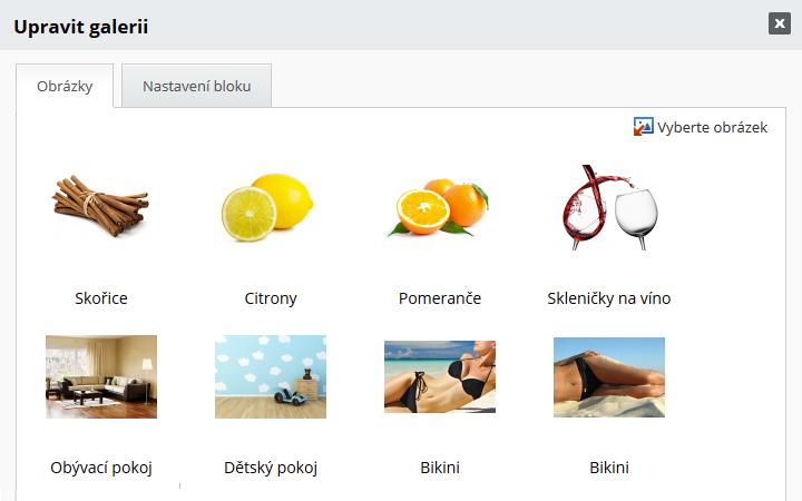 Vytvoření galerie na webu vytvoření galerie při tvorbě obsahu