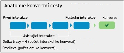 anatomie konverzní cesty
